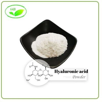 Pure Hyaluronic Acid Powder